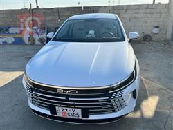BYD Destroyer 05